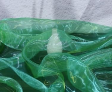 Two-Tone Iridescent Holographic Organza Fabric - 5.5 Yards by The Yard | Lightweight Sheer Tulle | for Wedding Dresses, Party Decor, DIY Crafts, Shiny Backdrops(Grass Green + hint of Yellow)