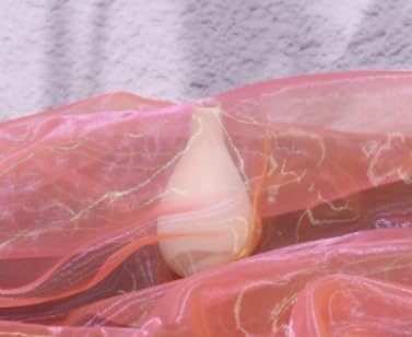 Two-Tone Iridescent Holographic Organza Fabric - 11 Yards by The Yard | Lightweight Sheer Tulle | for Wedding Dresses, Party Decor, DIY Crafts, Shiny Backdrops(Fluorescent Pink-Yellow)