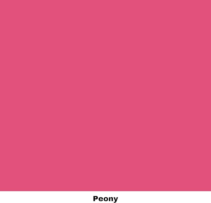 Dixie Belle Paint Company Chalk Finish Furniture Paint - Peony (8oz) - Matte Hot Pink Chic Chalk Mineral DIY Furniture Paint