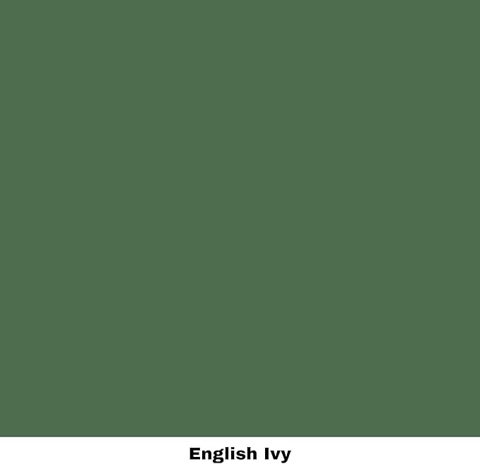 Dixie Belle Paint Company Chalk Finish Furniture Paint - English Ivy (32oz) - Matte Muted Green Chic Chalk Mineral DIY Furniture Paint