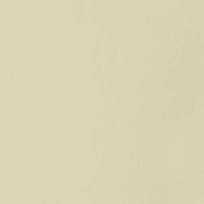 Liquitex Professional Heavy Body Acrylic Paint, 2-oz (59ml) Tube, Parchment