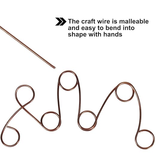 Tenn Well 12 Gauge Aluminum Wire, 100 Feet 2mm Bendable Craft Wire for Bonsai Training, Floral Making, Sculpting, Armature, Jewelry Making (Bronze)