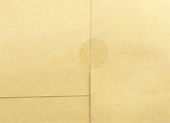 Ultra Clear Retail Wafer Seals for Mailing Packaging .5 Inch Round Circle Dots 1,000 Adhesive Stickers