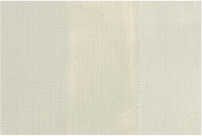 Charvin Extra Fine Oil Paint, Green Grey Dark 20 ml - Triple-Milled, Rich Texture, Poppy Oil-Based, Light-Fast, Handmade, Archival Quality