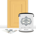 ALL-IN-ONE Paint, Durable cabinet and furniture paint. Built in primer and top coat, no sanding needed. Includes our 30 featured color card - Naples (sunny yellow), Gallon