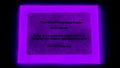 Glow in The Dark Pigment Powder - Neutral and Fluorescent Color for Art Painting, Fine Art, Nail Art Paint, and DIY Crafts - Long Lasting 10+ Color Options - Fluorescent Purple (1 Kilogram)