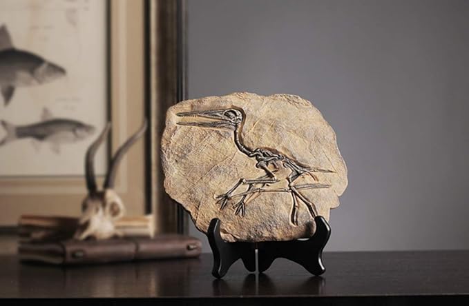 XINDAM Resin Dinosaur Fossil Statue Model Simulated Skeleton Home Office Display Decorative Craft Box Decoration (Style 3)