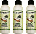 Green Piece® Paint Brush (Pack of 3 Paint Brush Cleaner)