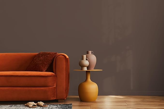 EVOLVE Paint & Primer: Environment-friendly, Low Sheen with One-coat Coverage for Interior & Exterior surfaces (Espresso, 5-Gallon)