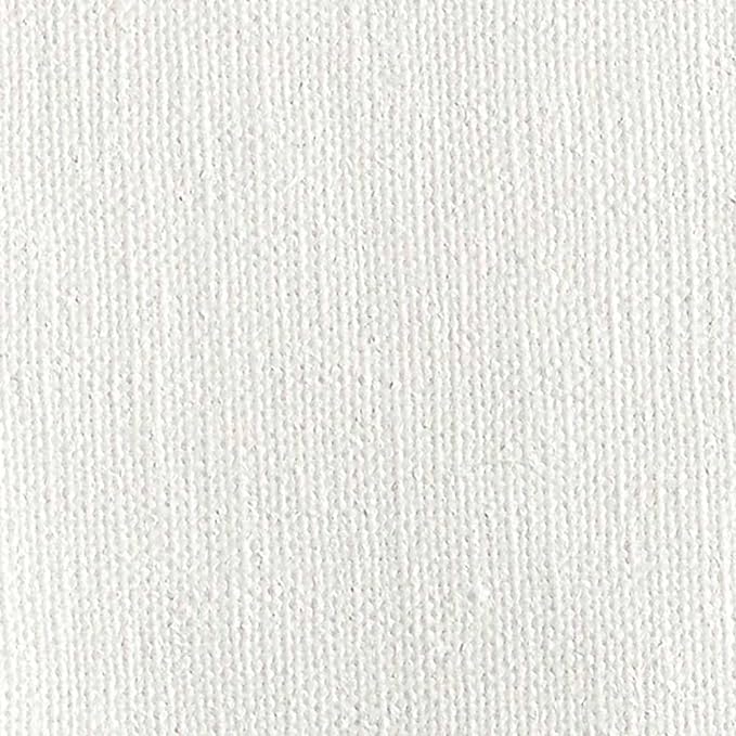 Centurion Deluxe Professional Oil Primed Linen Canvas Panels - 6x12-6 Pack of Linen Canvases for Painting, Artwork and More