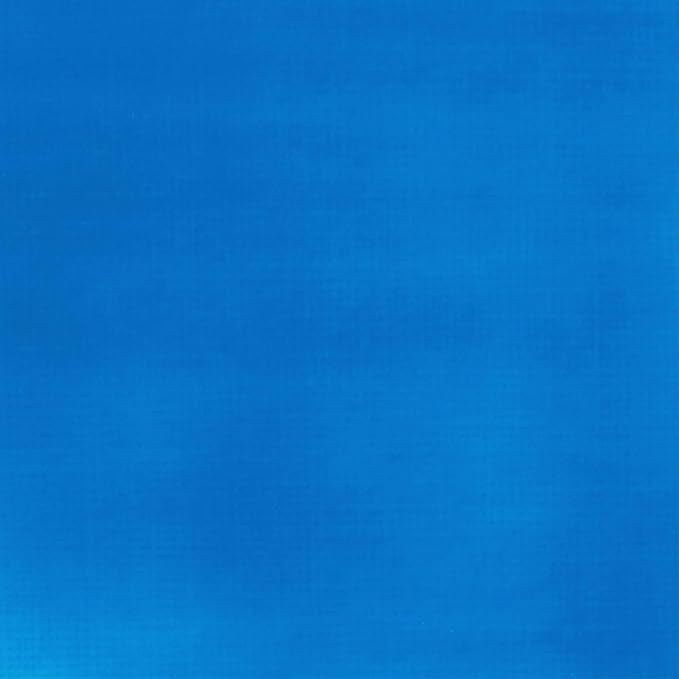 Liquitex BASICS Acrylic Paint, 118ml (4-oz) Tube, Fluorescent Blue