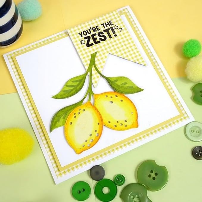 Cutting Dies Metal Stencils Scrapbooking Tools DIY Embossing Template for Paper Card Making Album Arts Crafts Supplies (Fruit Set-10.5x14.1cm)