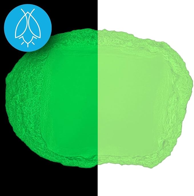Glow in The Dark Pigment Powder - Neutral and Fluorescent Color for Art Painting, Fine Art, Nail Art Paint, and DIY Crafts - Long Lasting 10+ Color Options - Fluorescent Green - (30 Grams/1 Ounce)
