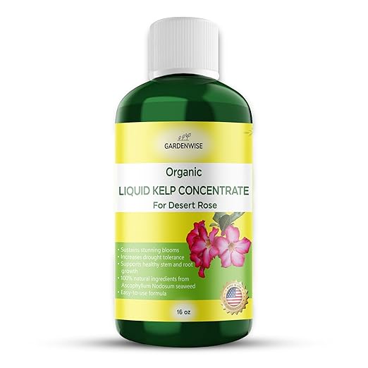 Liquid Kelp Fertilizer for Desert Rose - Plant Food for Adenium & Desert Plants - Organic Seaweed Fertilizer for Robust Growth and Blooms (16 OZ)
