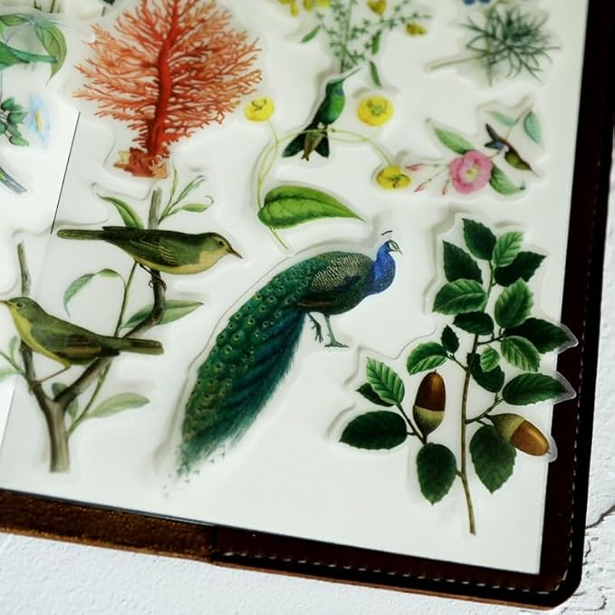 Vintage Vellum Stickers Floral Plants Elements Scrapbooking Supplies Flowers Botanic Natural Translucent Paper Self-Adhesive Junk-Journal Items (Bird Patterns)