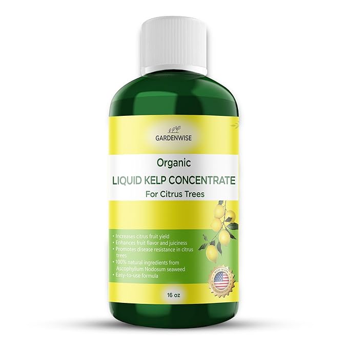 Organic Premium Kelp Seaweed Fertilizer: All-in-One Citrus Tree Fertilizer for Meyer Lemon, Lime, and Other Fruiting Trees - Liquid Plant Food for Potted & Outdoor Citrus Trees (16 OZ)