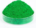 GOODTAKE Concrete Pigment, Grass Green Iron Oxide Pigment Powder, Concrete Cement Dye Color Pigment for Pastel Tile Paint Concrete Cement Mortar Grout (Grass Green, 16 oz)