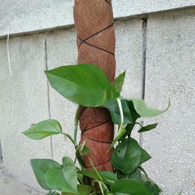 Cabilock 5PCS Realistic Artificial Palmae Bark Garden Decor Plant Accessory Home Decor Coconut Tree Barks Crafts for Displaygardens Landscaping