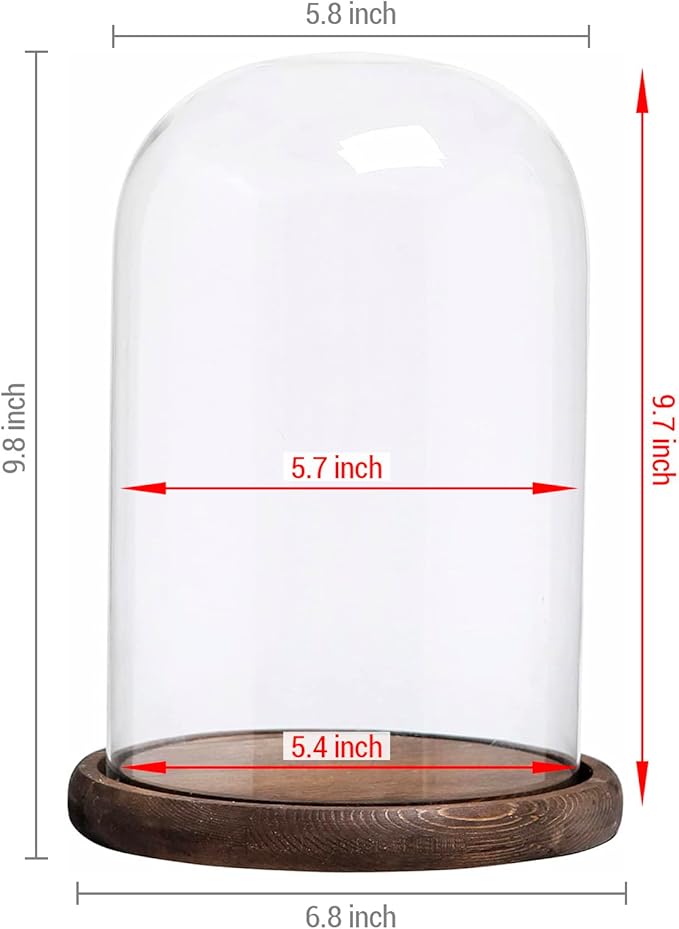 MyGift The Bell Jar Glass Cloche with Rustic Wood Base, 10 Inch Tall Clear Decorative Glass Dome Display for Plants, Curios, Keepsakes, Heirlooms