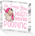 Funny Santa Desk Decor Acrylic Sign 4X4 Inch, Humorous Christmas Decorations Desk Signs for Toilet Cubicle Room Bathroom, Gag Gifts for Women Men Friends