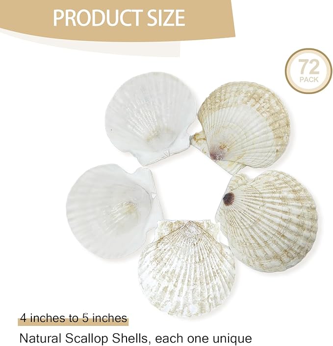 YOUKE OLA 72PCS Scallop Shells for Crafts Large Beach Natural Shells Bulk for Decoupage DIY Crafts Seashell Decorations Home Decor White 4''-4.5''