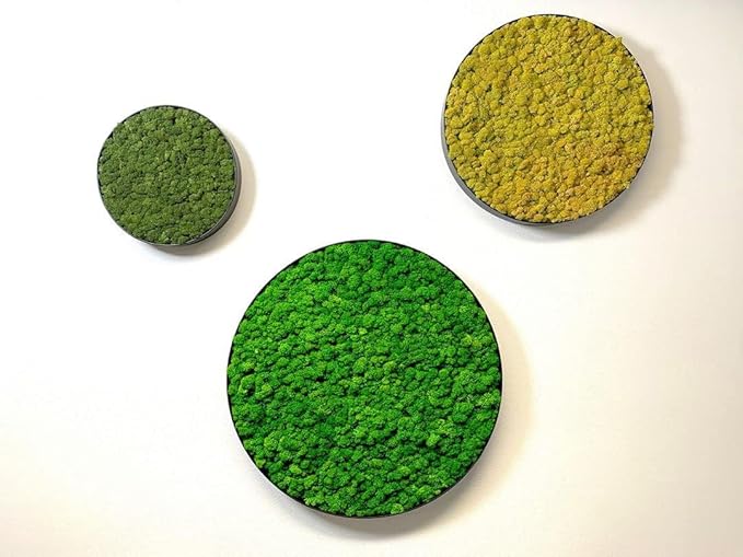 Preserved Reindeer Moss Natural Green DIY Kit Gardenning Art Wall Decor Florist Decor Easter Table Decor Wedding