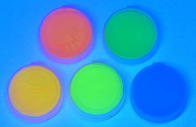 Fluorescent 5 Color Pack Glow in The Dark Pigment Powder - 12g Each, 60g Total…