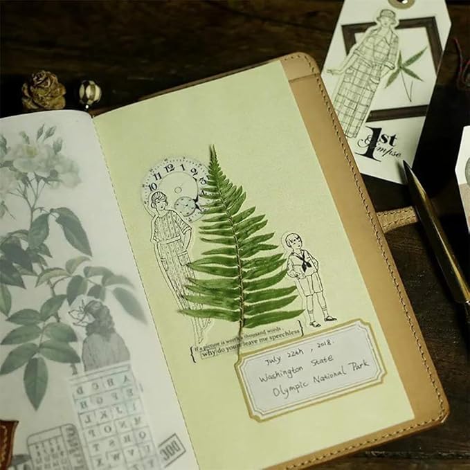 Vintage Vellum Stickers Floral Plants Elements Scrapbooking Supplies Flowers Botanic Natural Translucent Paper Self-Adhesive Junk-Journal Items (Fern)
