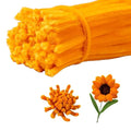 100 Pieces Pipe Cleaners Chenille Stem, Pumpkins Color Pipe Cleaners Set for Pipe Cleaners DIY Arts Crafts Decorations, Chenille Stems Pipe Cleaners (Gold)
