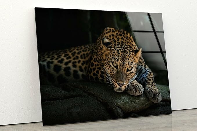 My Photostation.com 28Wx18H'' Fierce Leopard Glass Wall ArtTempered Glass Printing Wall Decor Large Wall Art Wall Hangings