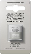 Winsor & Newton Professional Water Colour Paint, Half Pan, Davy's Gray