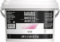 Liquitex BASICS Gesso Surface Prep Medium, 1.89L (64-oz) Tub, White