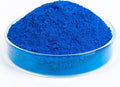 GOODTAKE Concrete Pigment, Blue Iron Oxide Pigment Powder, Concrete Cement Dye for Brick, Tile, Clay, Lime, Mortar, Grout, Plaster, Paint, Bath Bombs Coloring Powder (Blue, 16 oz)