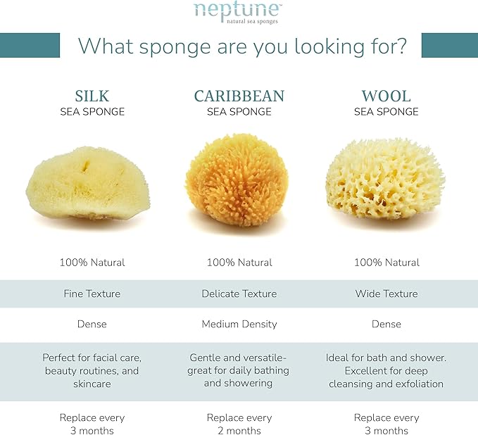 Neptune Caribbean Sea Sponge, Hand Cut, XXL, Approx. 8-9 inches