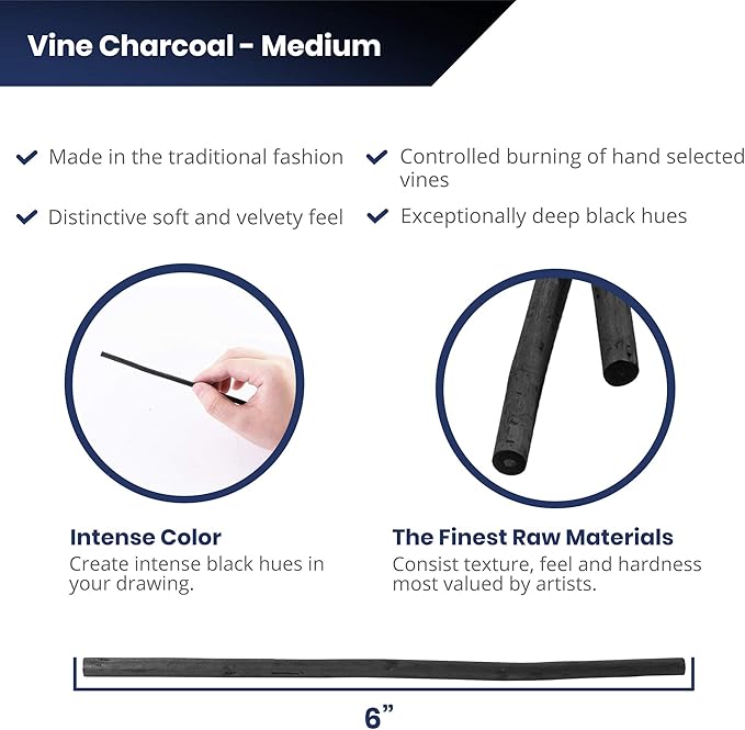 Pacific Arc Artist Vine Charcoal, Medium, Black 4 Charcoal Sticks for Drawing, Sketching, and Fine Art