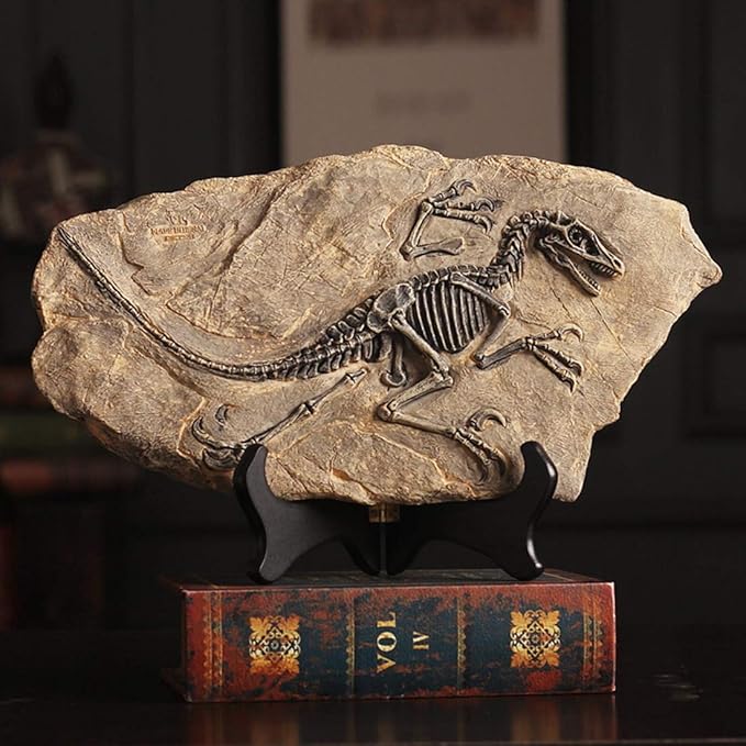 XINDAM Resin Dinosaur Fossil Statue Model Simulated Skeleton Home Office Display Decorative Craft Box Decoration (Style 2)