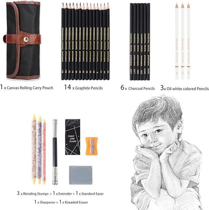 31 Drawing Sketching Pencils Kit, Portable Artist Supples Travel Case Set has Graphite, Charcoal, white color pencil, Blending Stump, gift for Adults Beginners for Drawing Sketch