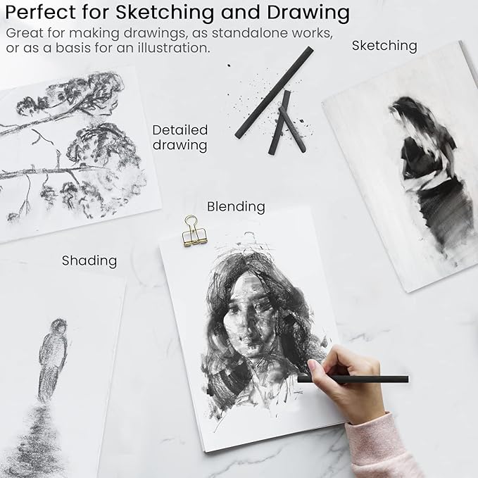 LOONENG Willow Charcoal Sticks, Natural Willow Charcoal for Artists, Beginners, or Students of All Skill Levels, Great for Sketching, Drawing, and Shading, Approx 2-4mm in Diameter, Pack of 25
