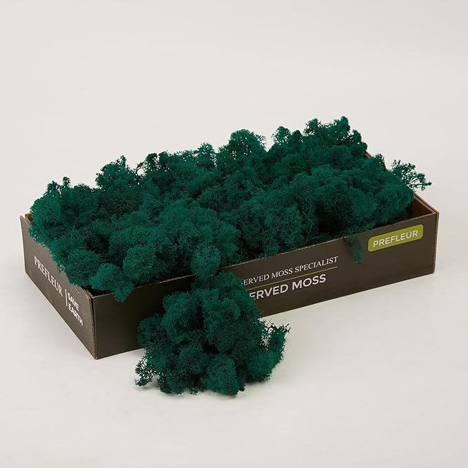 Preserved Reindeer Moss Natural Green DIY Kit Gardenning Art Wall Decor Florist Decor Easter Table Decor Wedding