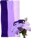 300pcs Purple Pipe Cleaners Bulk - Fluffy Craft Pipe Cleaners for Arts & Crafts, Ideal for Making Flowers, Animals & Decorations (12 x 0.24 inches)
