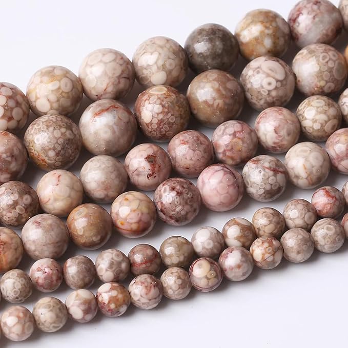 36PCS 10MM Natural Flowery Cowry Fossil Stone Beads Energy Healing Beads for DIY Jewelry Bracelet Necklace Making for Jewelry Making15Inch