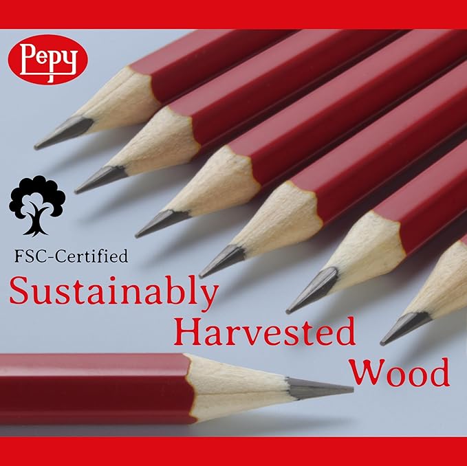 Pepy Graphite Professional Drawing Pencils - Set of 12 6H Pre-Sharpened Black Lead Pencils; Perfect for Drawing, Sketching and Shading, Graphic and Fine Art