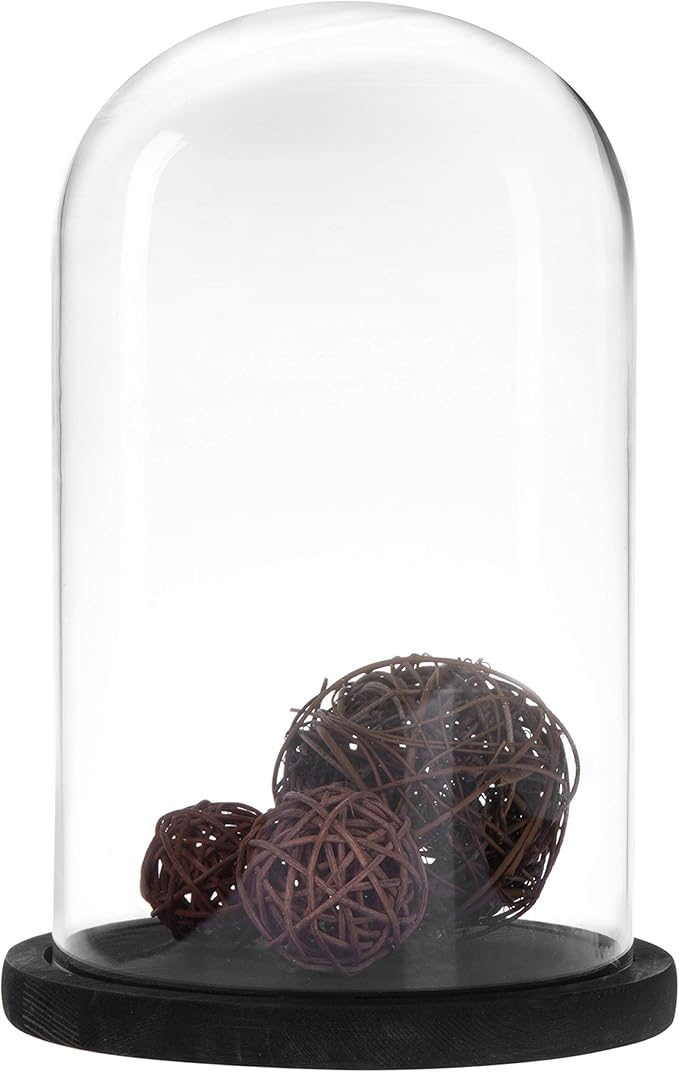 MyGift The Bell Jar Glass Cloche with Black Wood Base, 10 Inch Tall Clear Decorative Glass Dome Display for Plants, Curios, Keepsakes, Heirlooms
