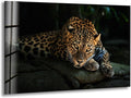 My Photostation.com 35.5Wx30H'' Fierce Leopard Glass Wall ArtTempered Glass Printing Wall Decor Large Wall Art Wall Hangings