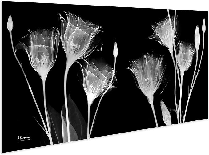 Empire Art Direct Frameless Free Floating Tempered Glass Panel Graphic Flower Wall Art Ready to Hang, 24" x 48", Gentian X-ray