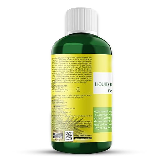 Organic Premium Kelp Seaweed Fertilizer for Lucky Bamboo - Liquid Plant Food - Soil Enhancer - Natural Plant Food (8 OZ)