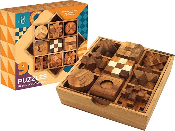 BSIRI 9 in 1 Wooden Brain Teaser Puzzles for Adults Teens and Kids Box Set for All Ages Wood Hard Level 10 Impossible Mind Wood Brain Teaser Games 3D Hand Puzzle Sets for Decoration and Mini Toys