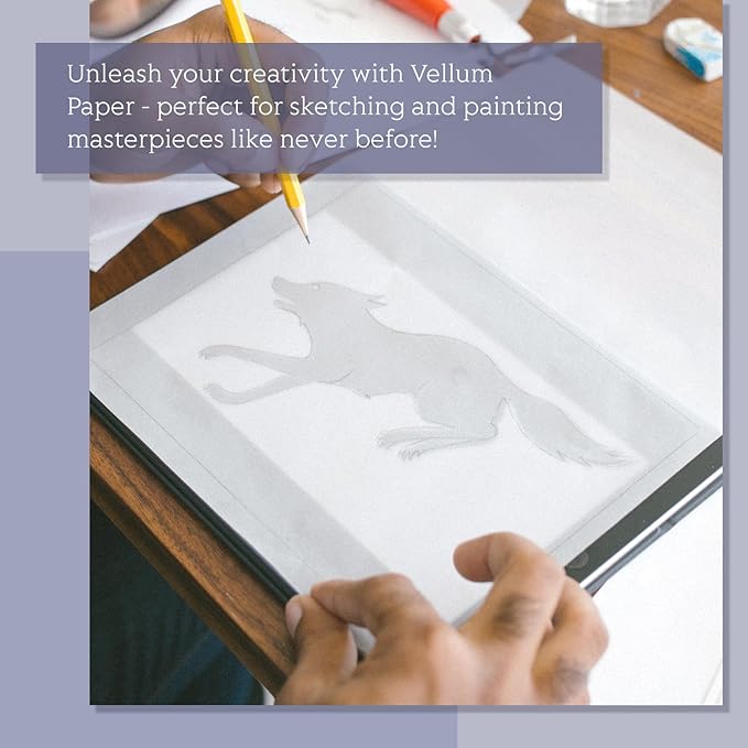 Translucent Vellum Paper 8.5 x 11, Goefun 100 Sheets Vellum Tracing Paper Printable for Invitations, Card Overlays, Belly Bands, DIYs, Sketching, Drawing (Pack of 2)