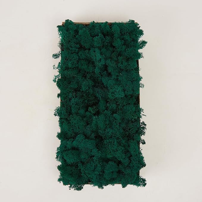 Preserved Reindeer Moss Natural Green DIY Kit Gardenning Art Wall Decor Florist Decor Easter Table Decor Wedding
