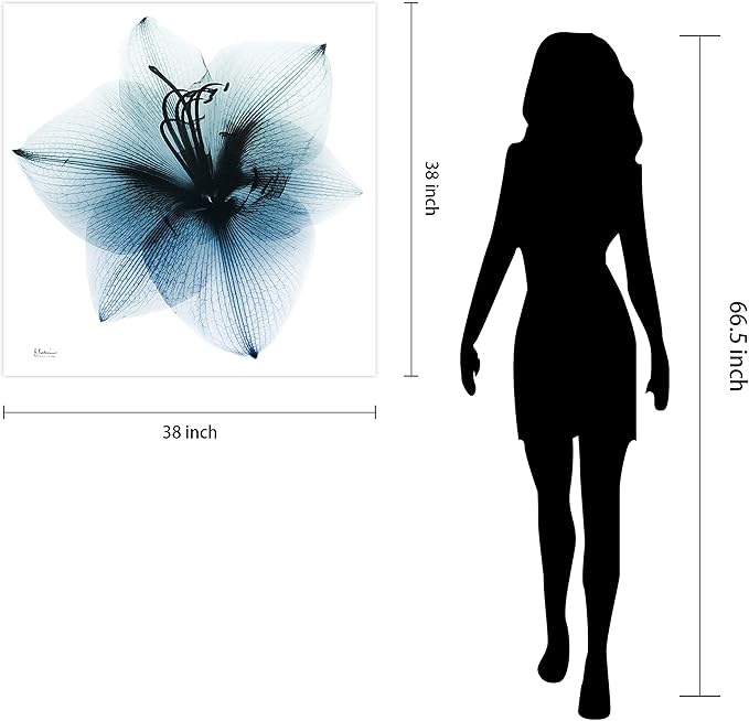Empire Art Direct Frameless Free Floating Tempered Glass Panel Graphic Wall Art Ready to Hang, 38" x 38", Glacial Amaryllis